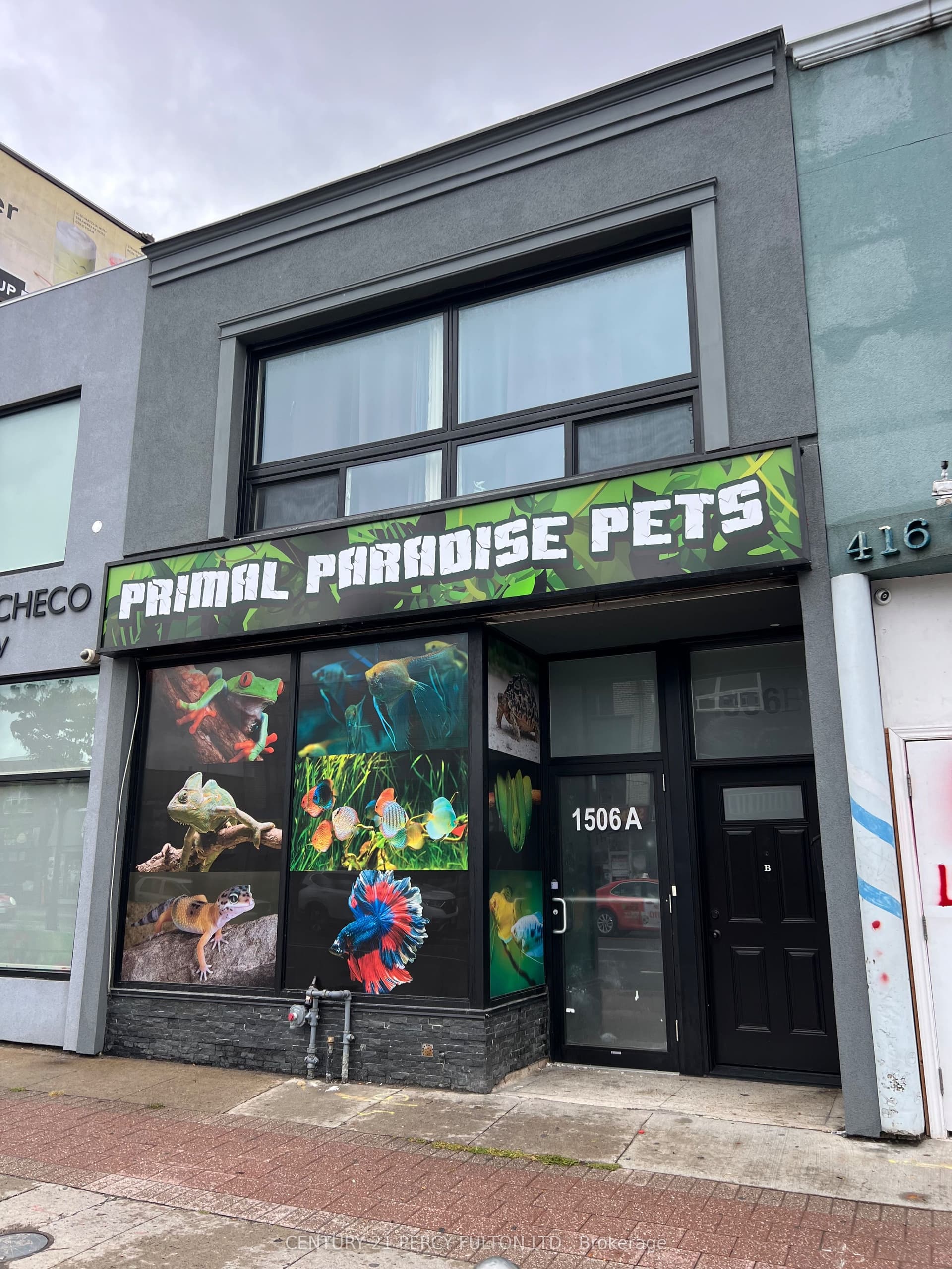 Eglinton Avenue W, Toronto, ON M6E 2G5